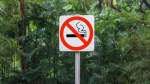 Электронные сигареты в Тайланде запрещены или нет